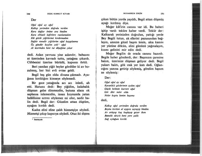 Türk M. Dede Korkut Kitabı Muharrem Ergin 5 Kitap Kapağı