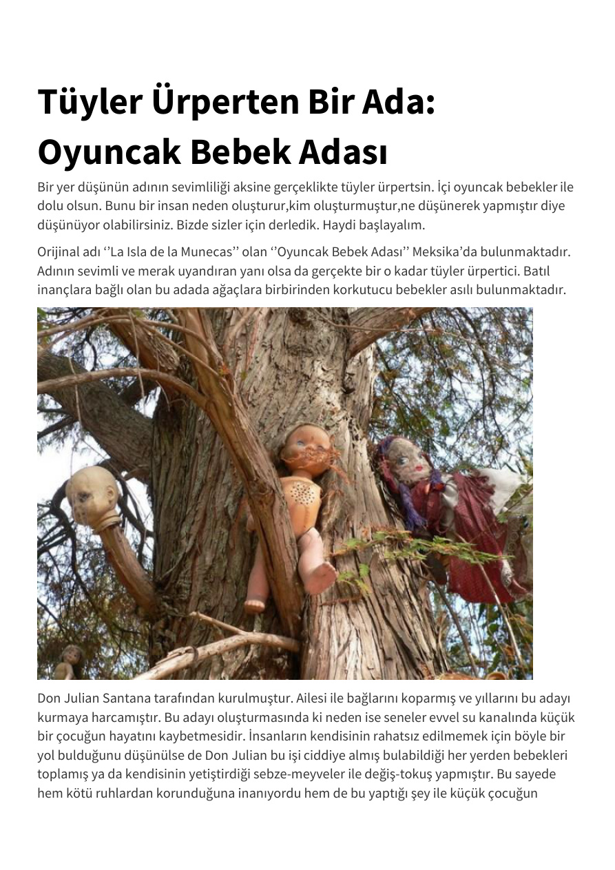 Tüyler Ürperten Bir Ada Oyuncak Bebek Adası PDF – Kolektif / Gizem