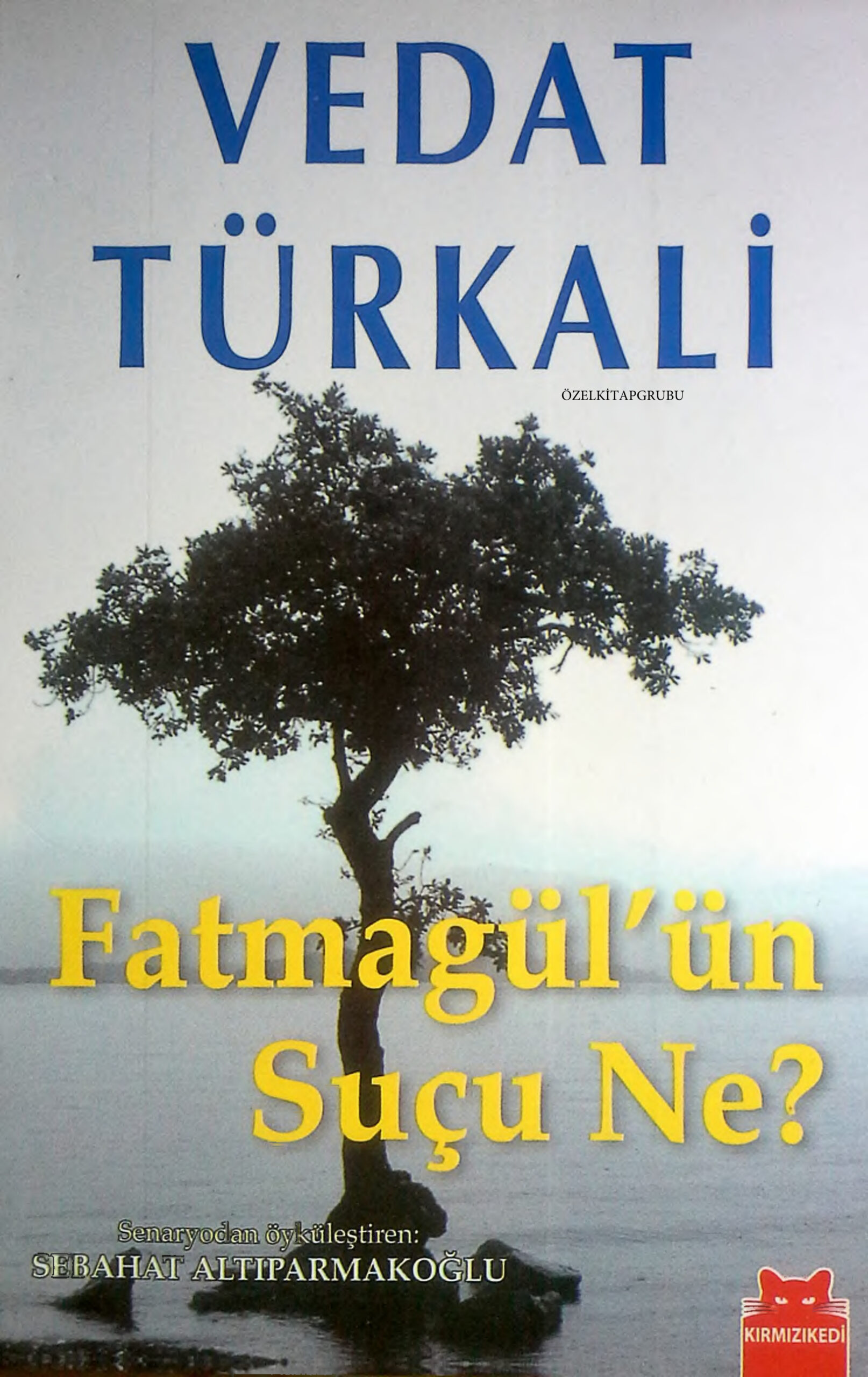Fatmagül’ün Suçu Ne PDF – Vedat Türkali