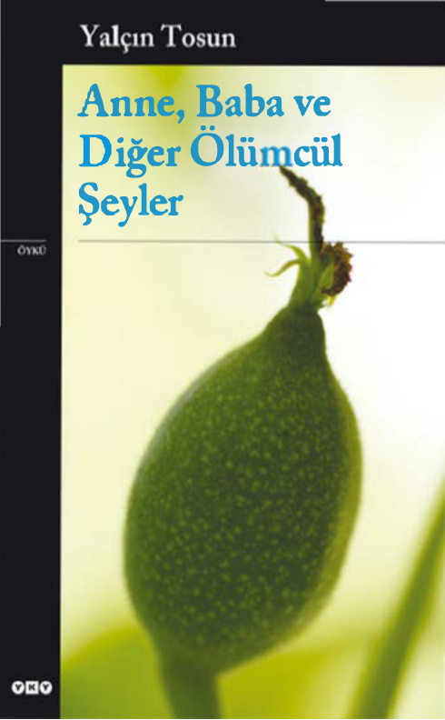 Anne Baba ve Diğer Ölümcül Şeyler PDF – Yalçın Tosun