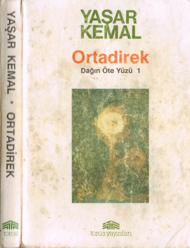Dağın Öte Yüzü PDF – Yaşar Kemal