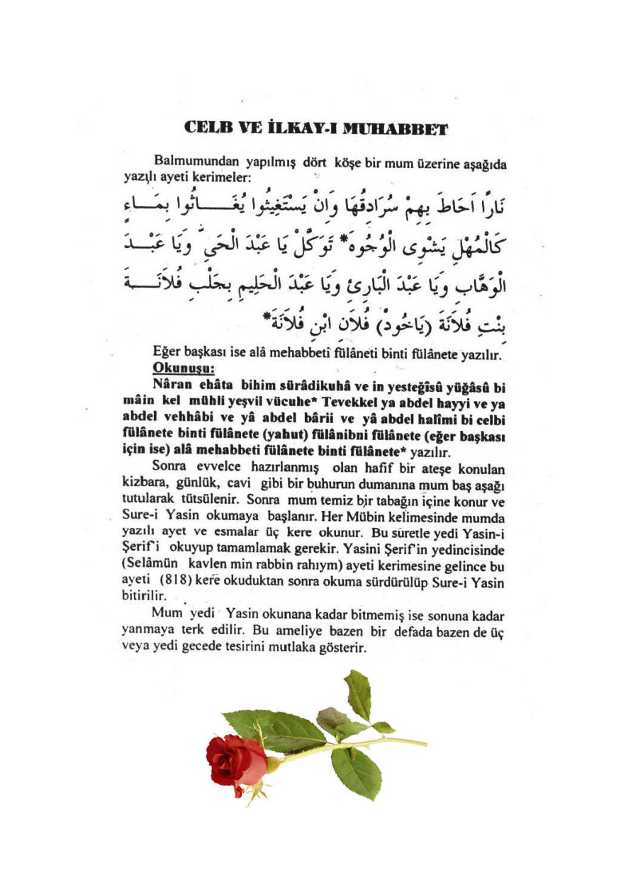 Celb ve İlkay-i Muhabbet PDF – Kolektif / El Yazması