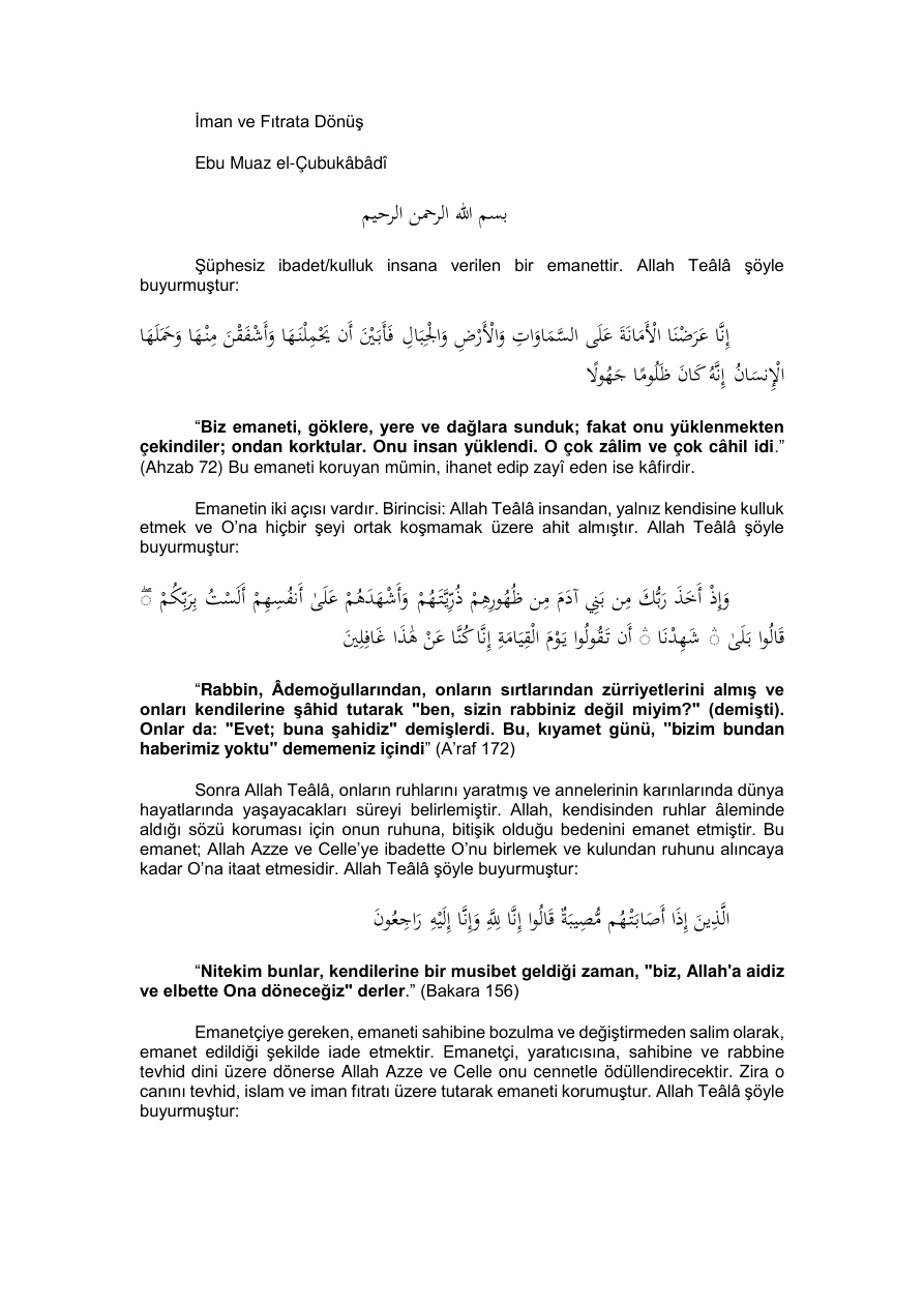 İman ve Fıtrata Dönüş PDF – Bilinmiyor / Kolektif