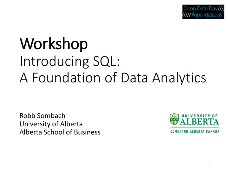 introducing sql foundation of data analytics Kitap Kapağı