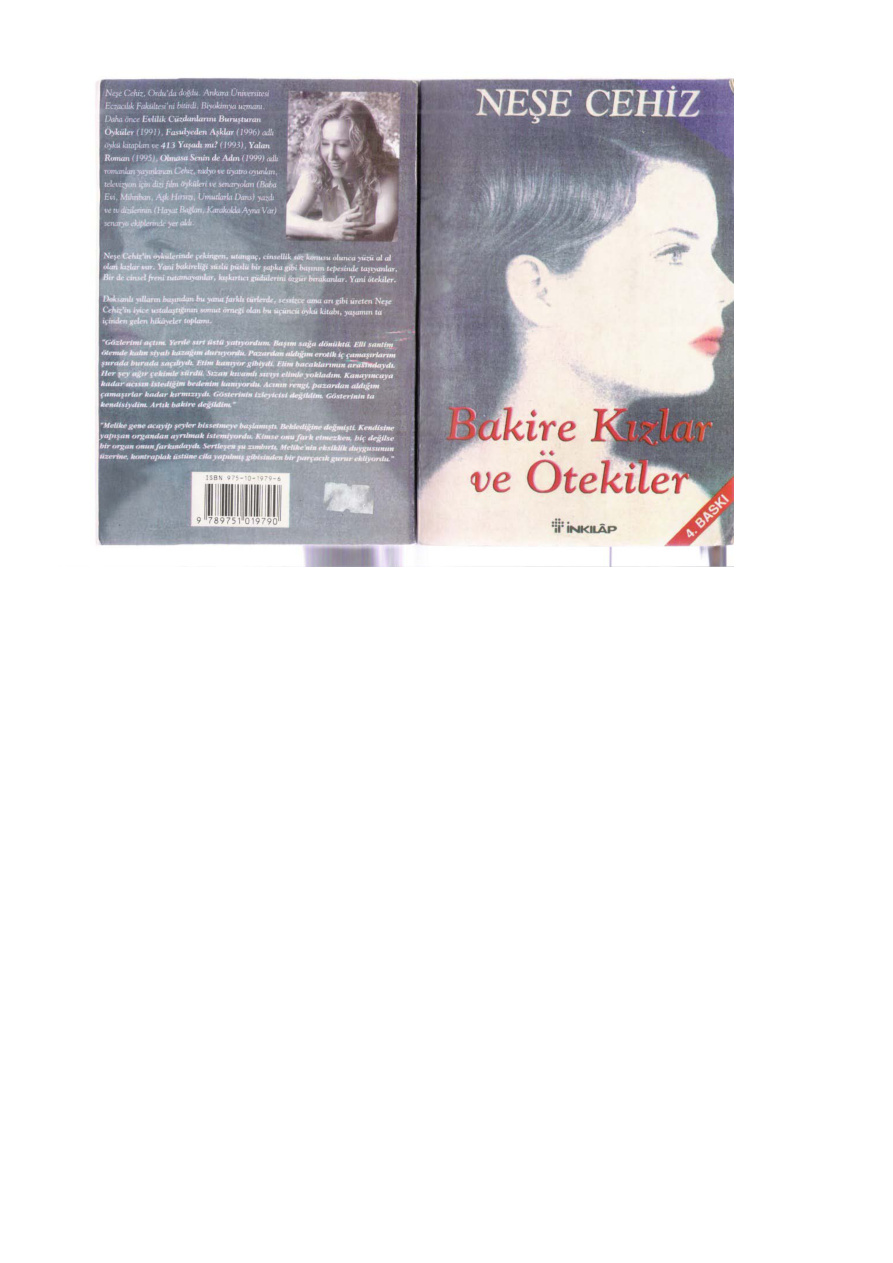 Bakire Kizlar ve Otekiler 1 PDF – Neşe Cehiz