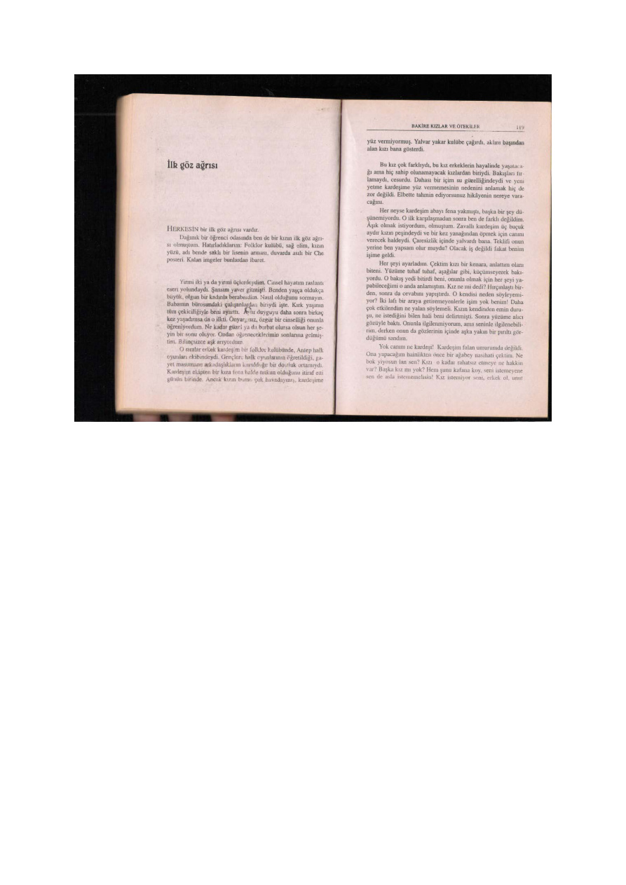 Bakire Kizlar ve Otekiler 2 PDF – Neşe Cehiz
