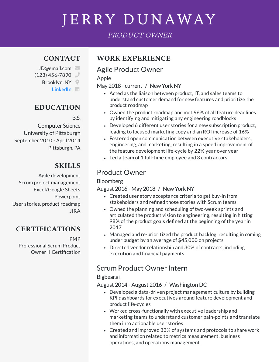 Product Owner Resume Example PDF – Unknown
