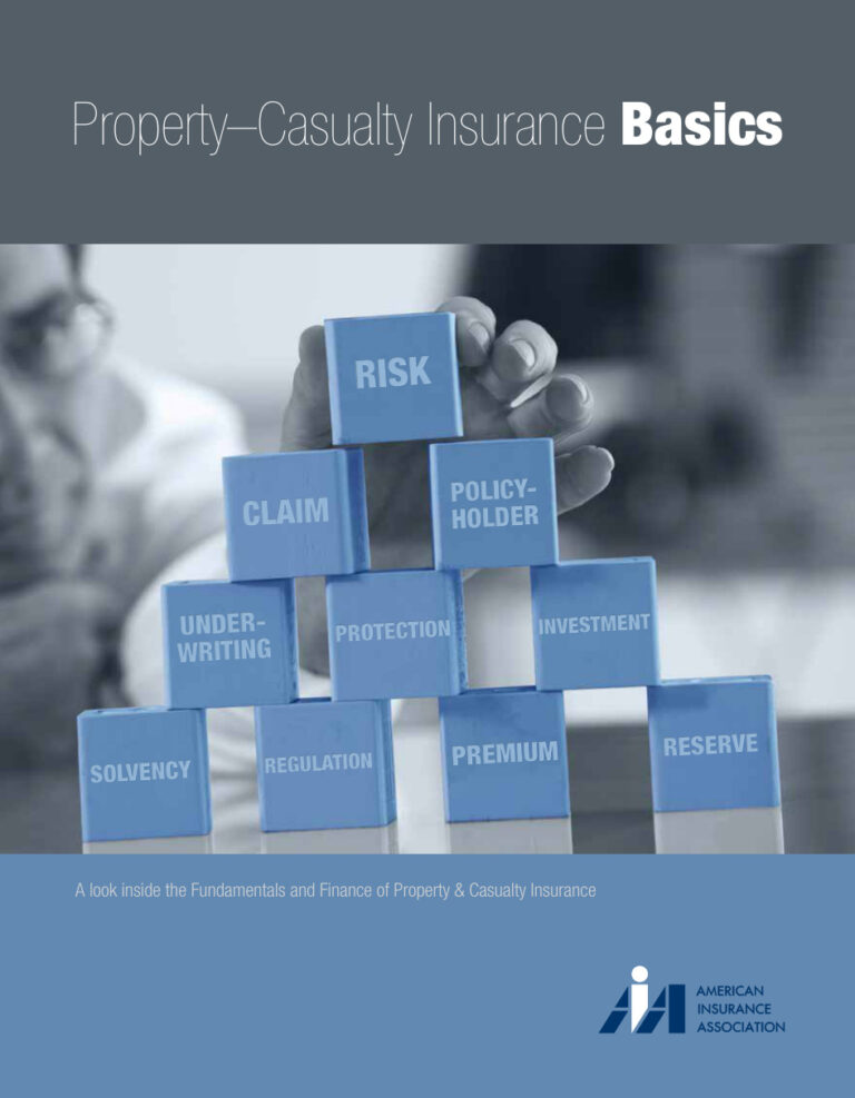 property casualty basics Kitap Kapağı