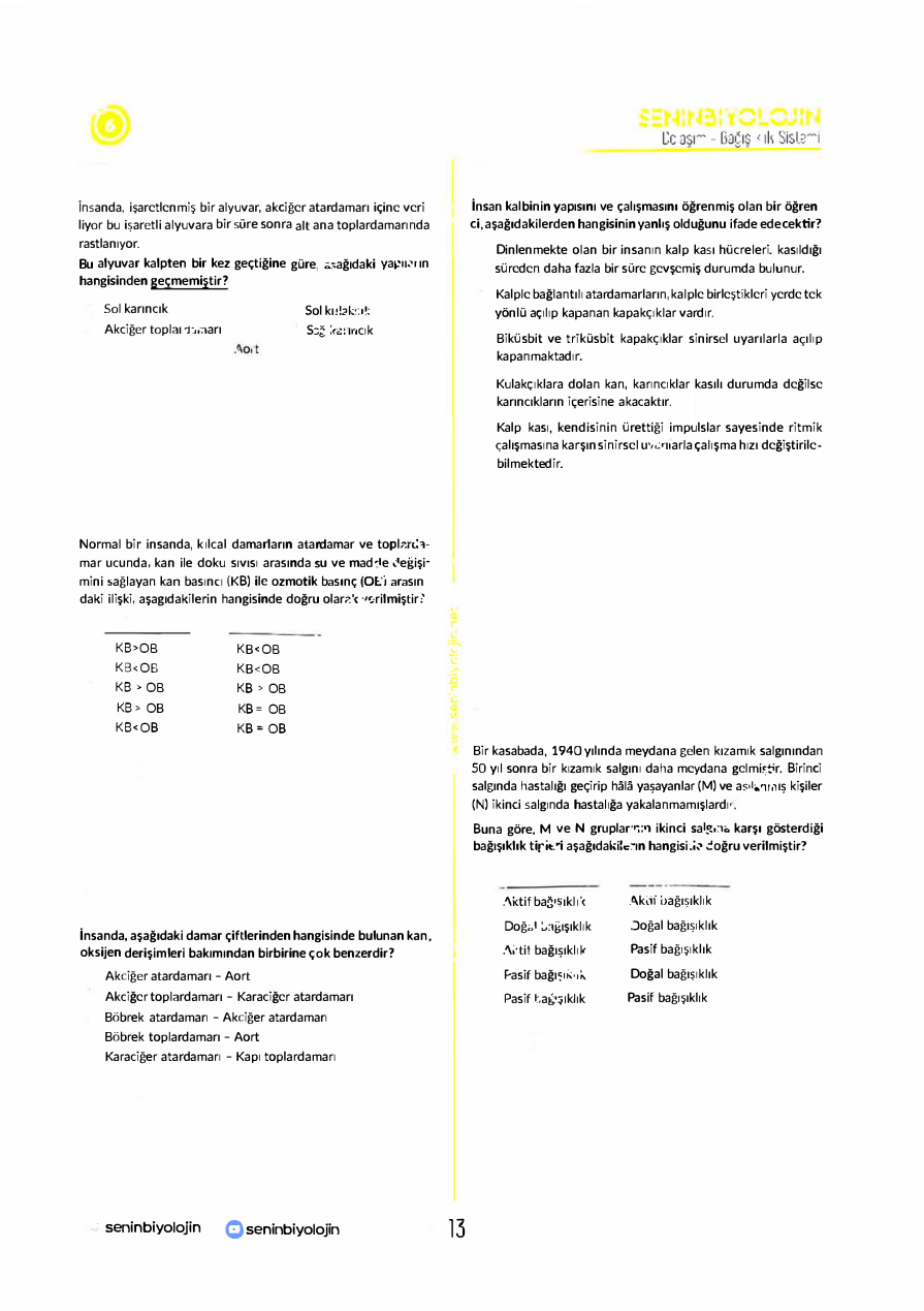 AYT 2 PDF İndir – Kr Akademi Komisyon