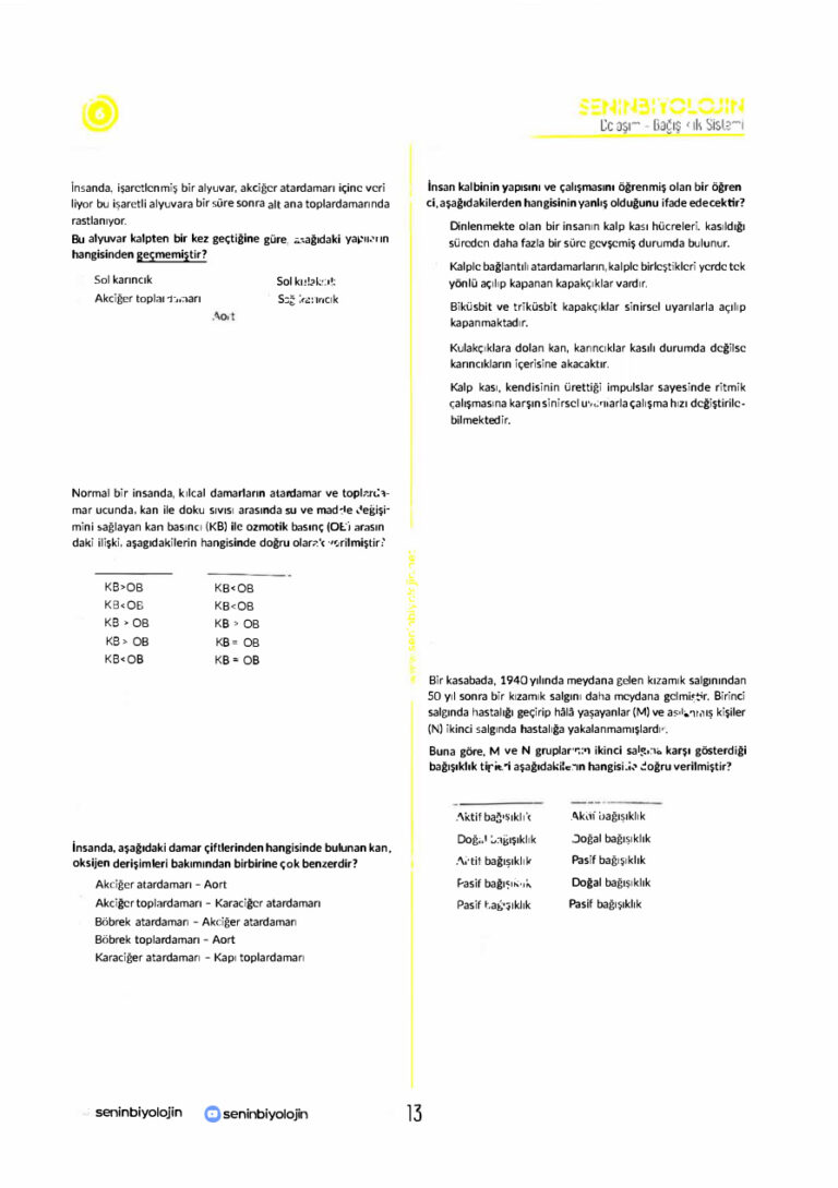 2021 Senin Biyolojin AYT 2 BÖLÜM Şifresiz Kitap Kapağı