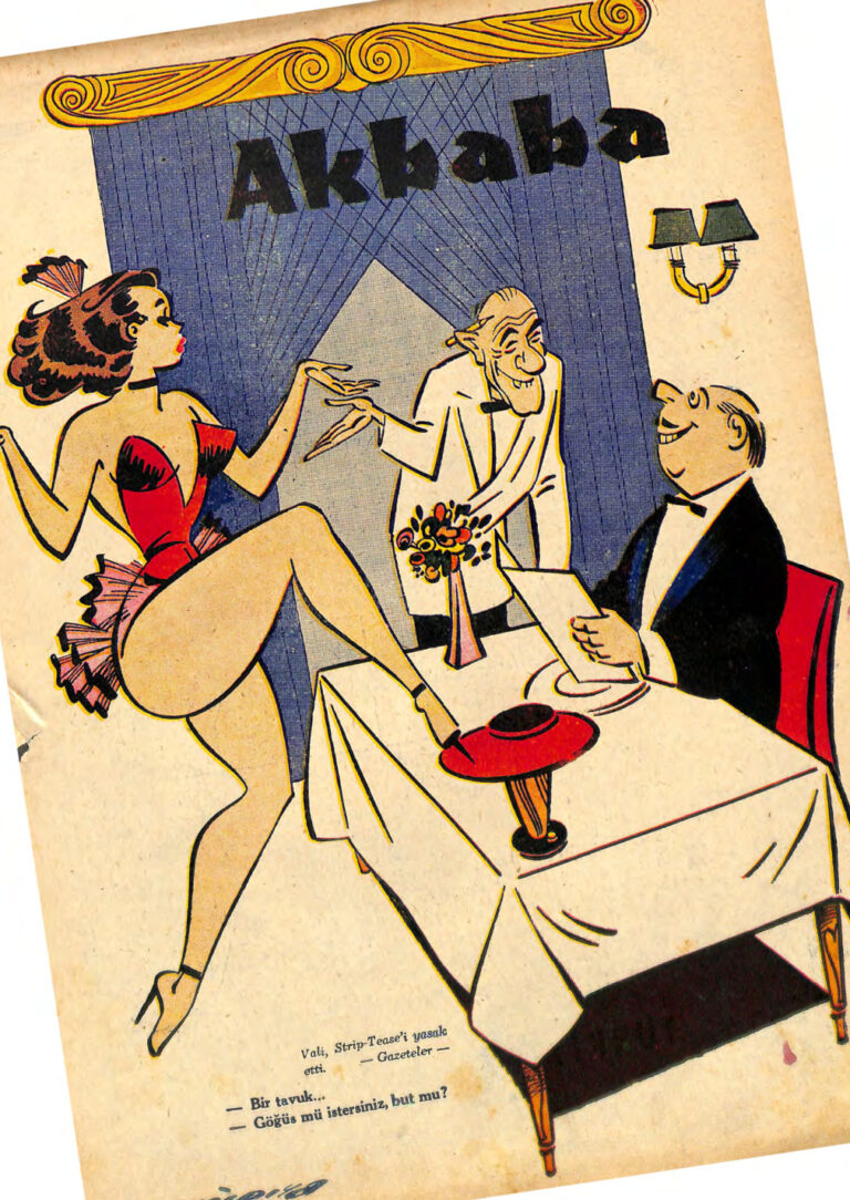 Akbaba 1958 311 Kitap Kapağı