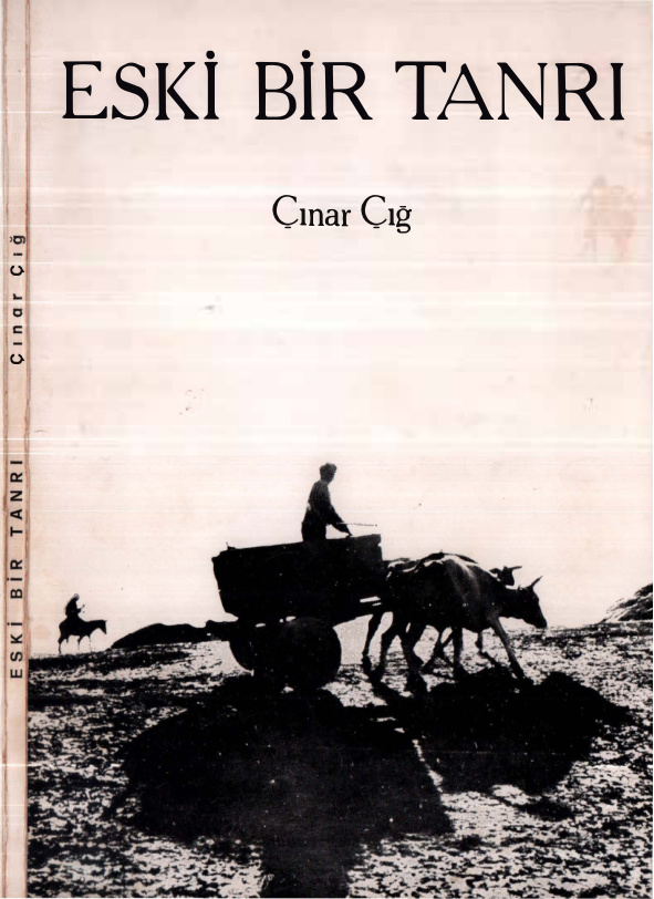 Çınar Çığ Eski Bir Tanrı Karınca Yayınları Kitap Kapağı
