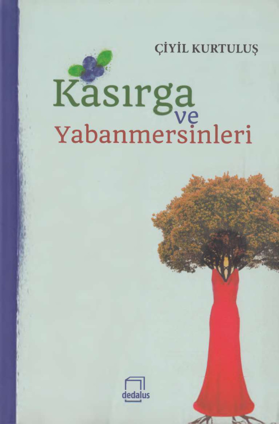 Çiyil Kurtulus Kasırga ve Yabanmersinleri Dedalus Yayınları Kitap Kapağı