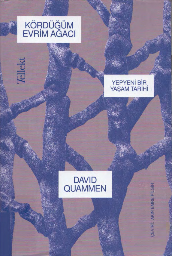 Kördüğüm PDF – Erol Toy