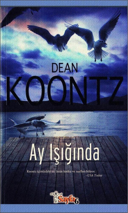 Ay Işığında PDF – Dean Koontz