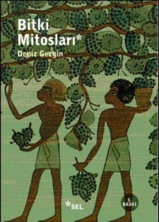 Bitki Mitosları PDF – Deniz Gezgin