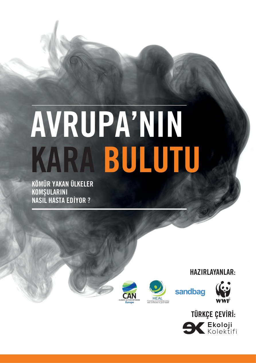 Avrupa’nın Kara Bulutu PDF – Doğu Eroğlu