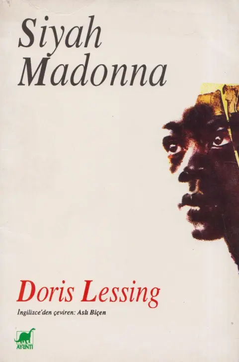 Doris Lessing Siyah Madonna Ayrıntı Yayınları Kitap Kapağı