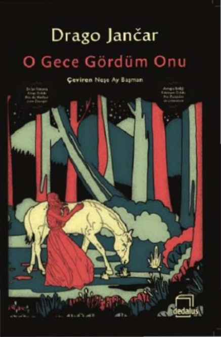 O Gece Gördüm Onu PDF – Drago Jancar