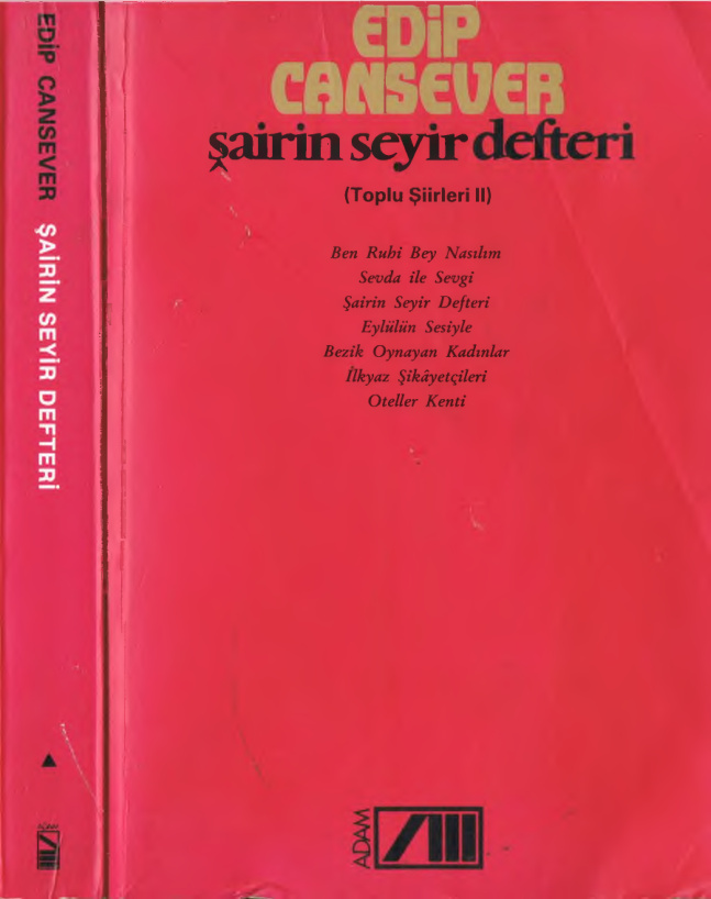 Seyir PDF İndir – Piraye