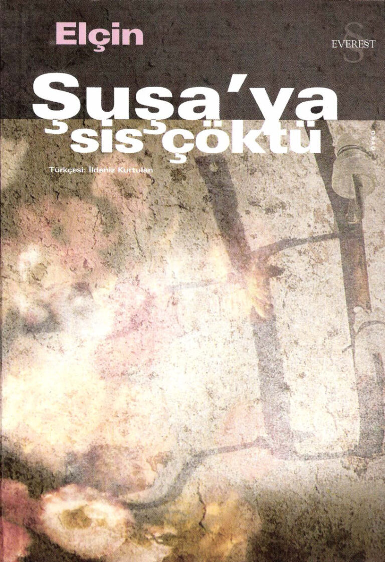 Elçin Susa'ya Sis Çöktü Everest Yayınları Kitap Kapağı