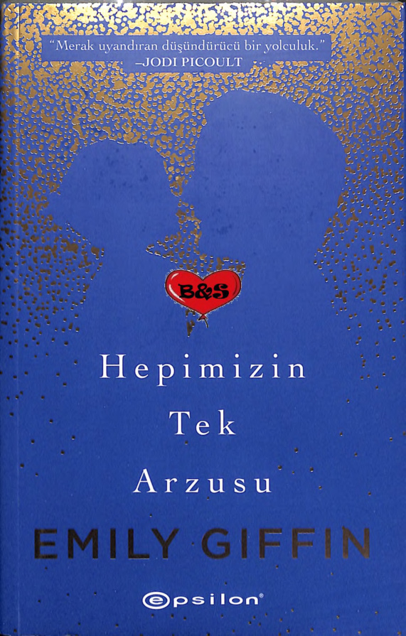 Hepimizin Tek Arzusu PDF – Emily Giffin