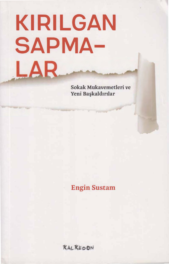 Kırılgan Sapmalar PDF – Engin Sustam