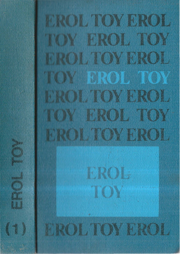 Acı Para PDF – Erol Toy