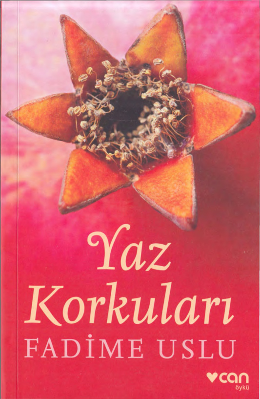 Yaz Korkuları PDF – Fadime Uslu