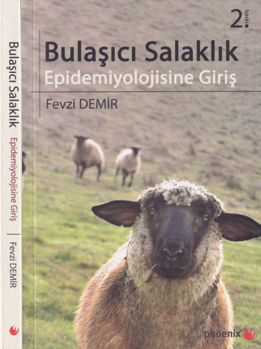 Bulaşıcı Salaklık PDF – Fevzi Demir