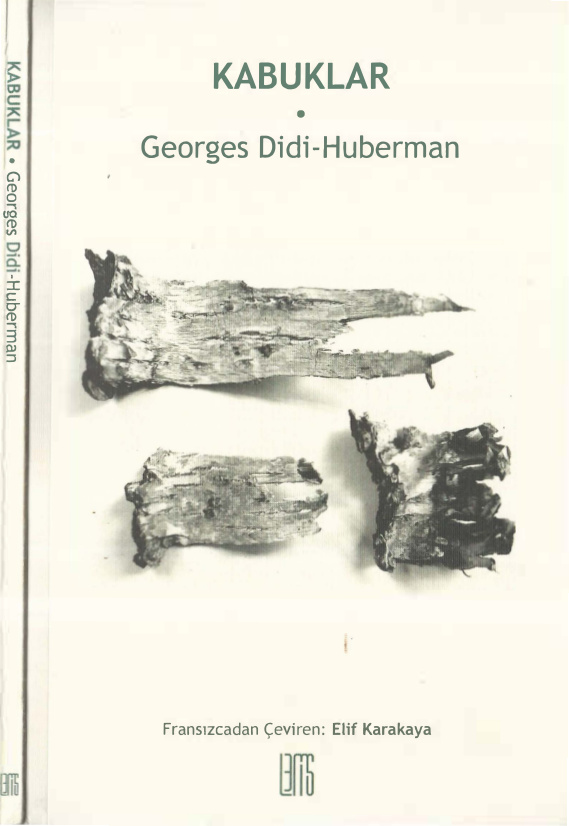 Kabuklar PDF – Georges Didi-Huberman