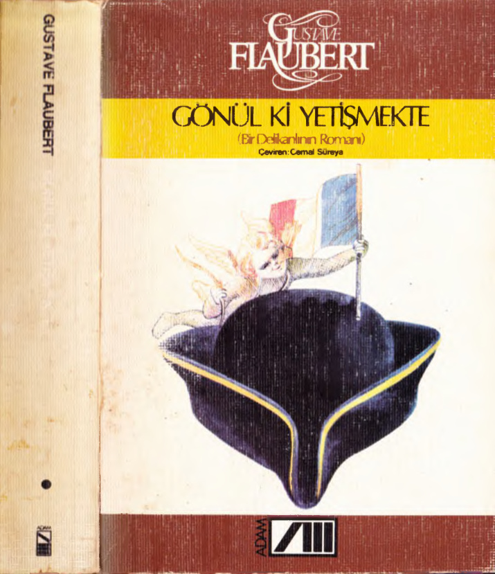 Gönül ki Yetişmekte: Bir Delikanlının Romanı PDF – Gustave Flaubert