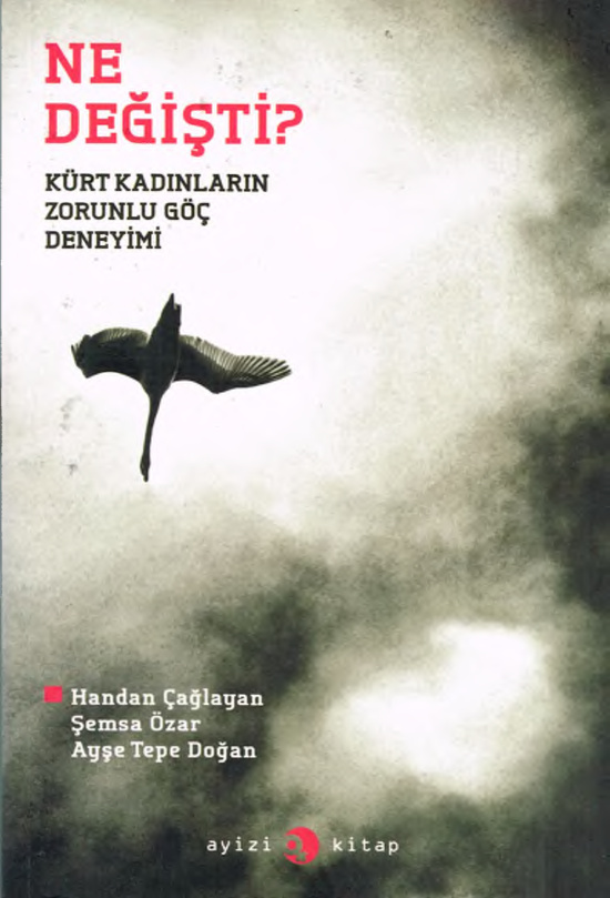 Ne Değişti? Kürt Kadınların Zorunlu Göç Deneyimi PDF – Handan Çağlayan vd.
