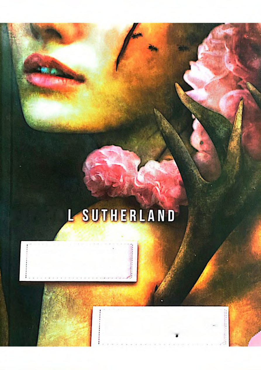 Hollow Kardeşler PDF İndir – Krystal Sutherland