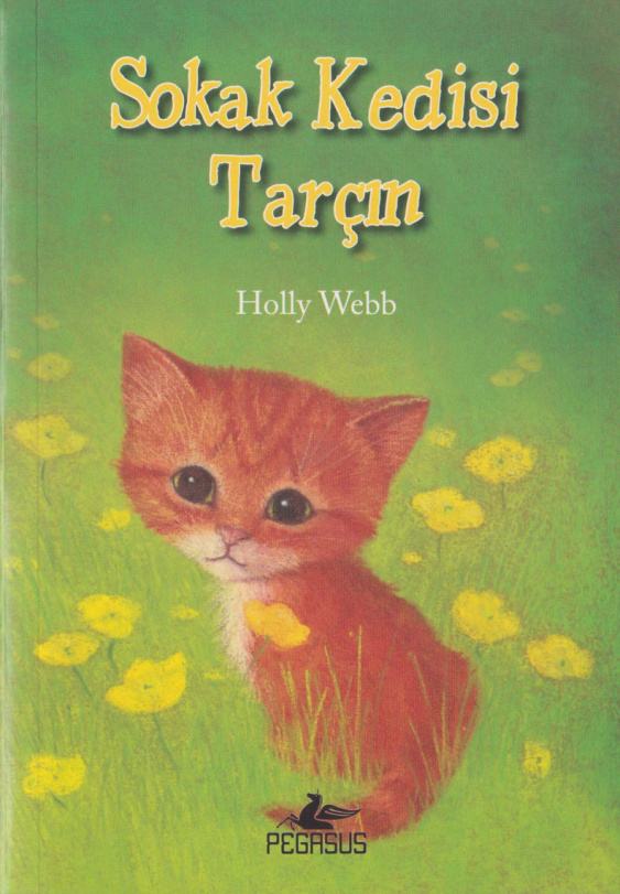 Sokak Kedisi Tarçın PDF – Holly Webb