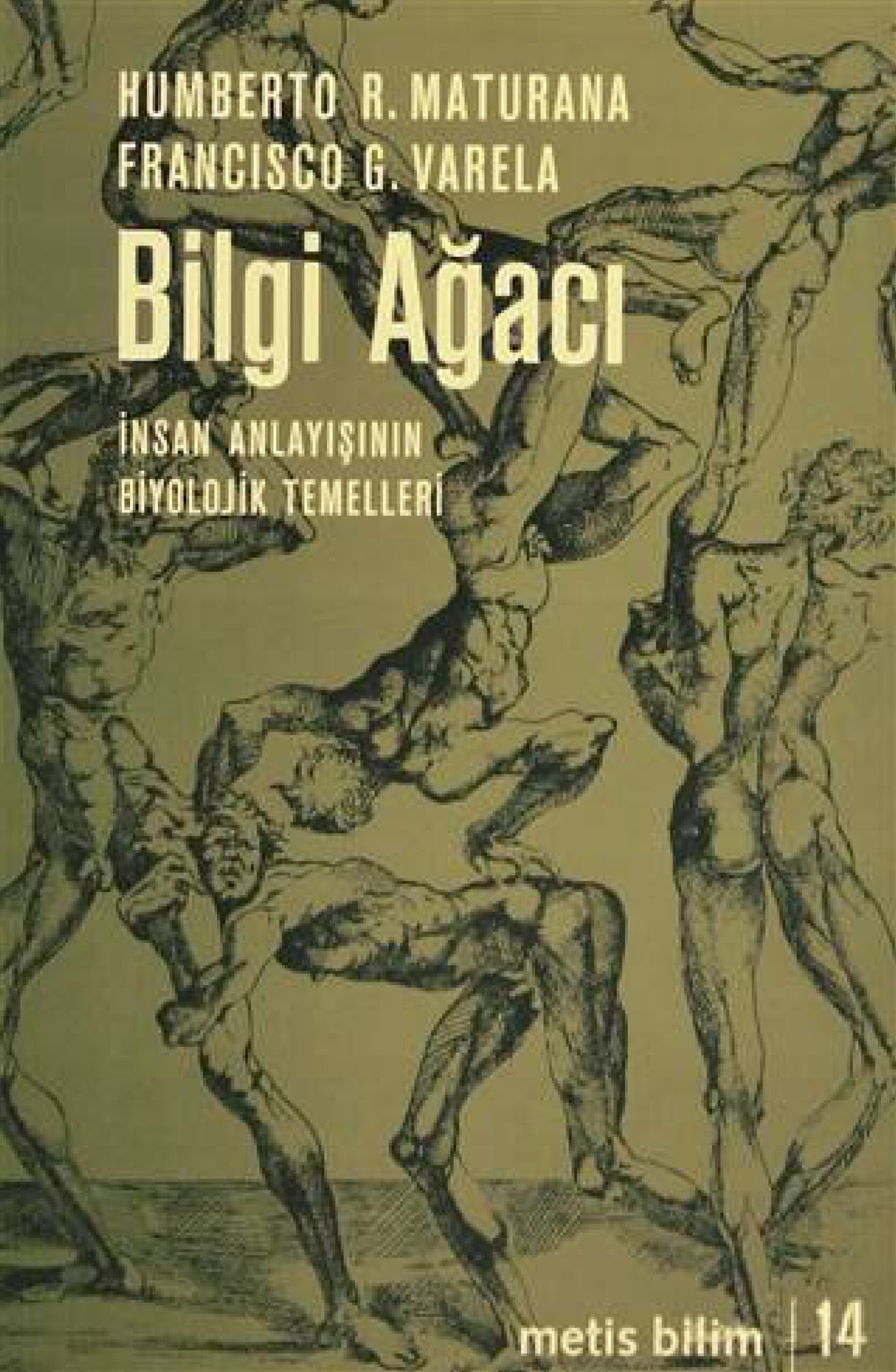 Bilgi Ağacı: İnsan Anlayışının Biyolojik Temelleri PDF – Humberto R. Maturana, Francisco G. Varela
