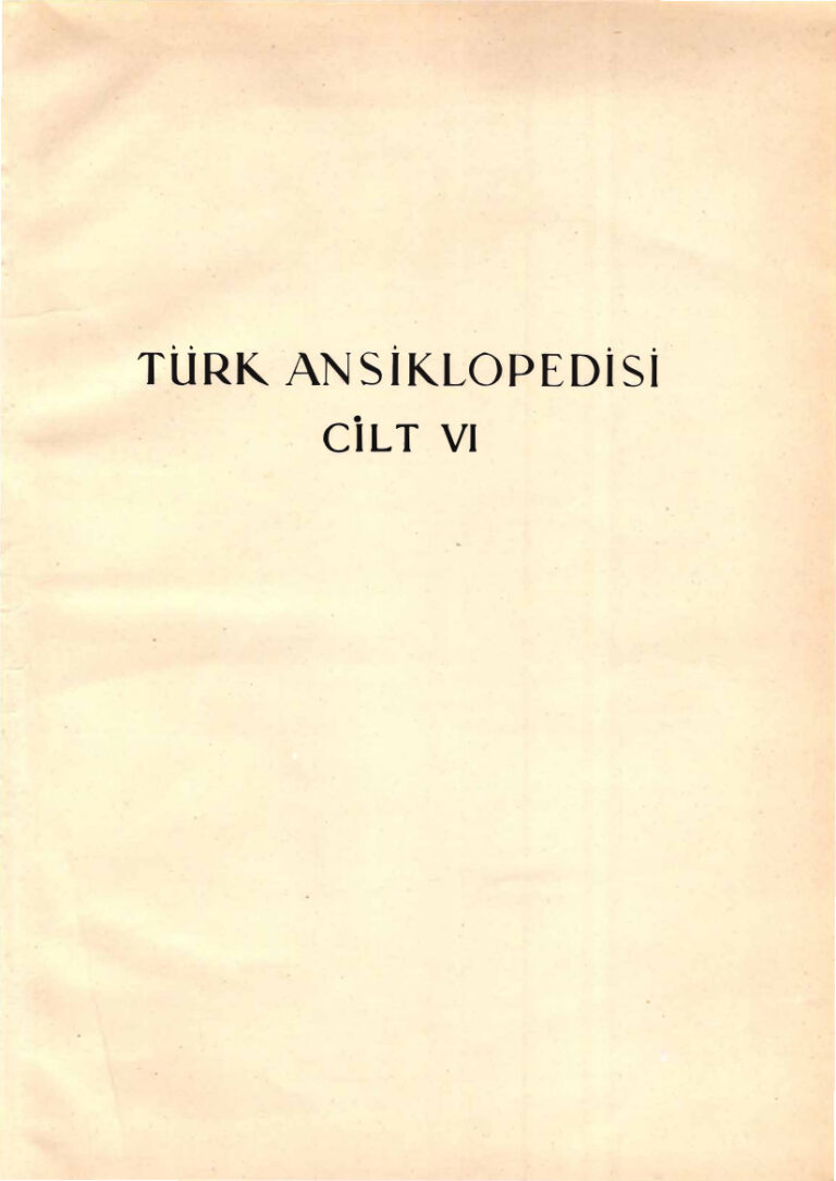 İnönü Ansiklopedisi Cilt 06 Kitap Kapağı