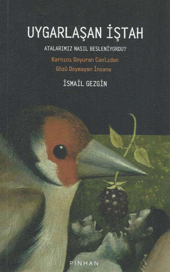 İsmail Gezgin Uygarlaşan İştah Pinhan Yayınları Kitap Kapağı