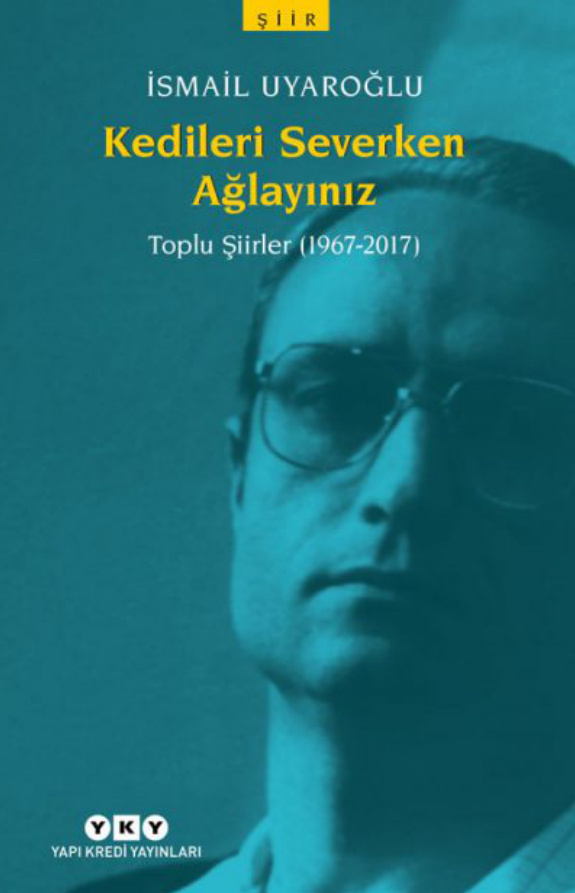 Kedileri Severken Ağlayınız PDF İndir – İsmail Uyaroğlu