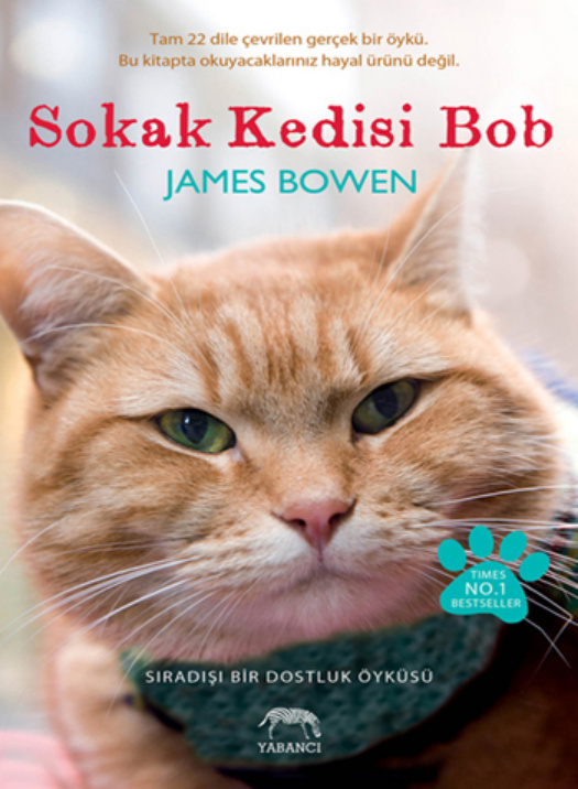Sokak Kedisi Bob PDF – James Bowen
