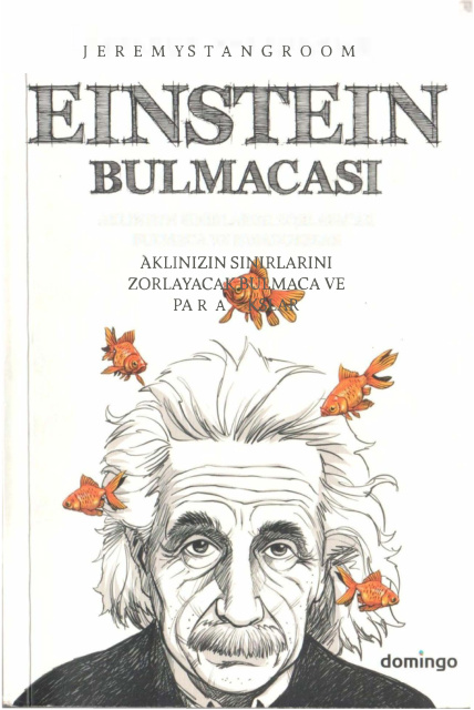 Einstein Bulmacası PDF – Jeremy Stangroom