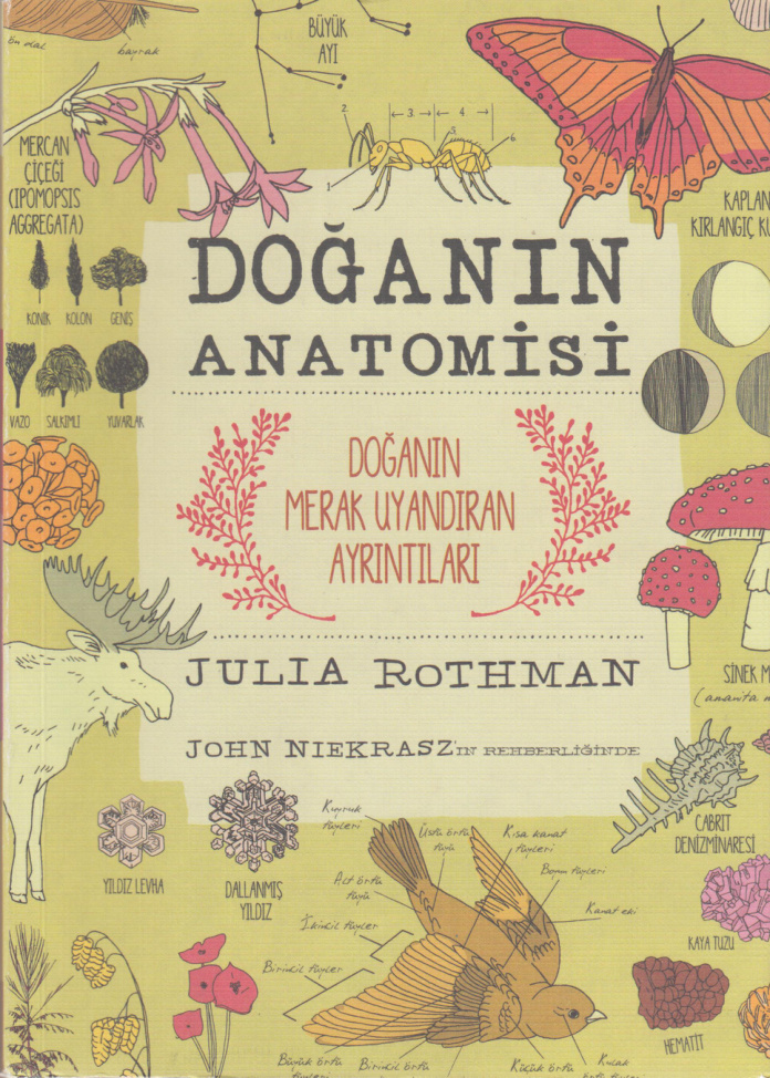 Doğanın Anatomisi PDF – Julia Rothman