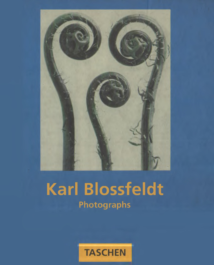 Photographs PDF – Karl Blossfeldt