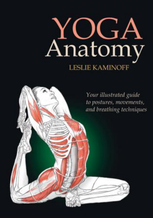 Yoga Anatomy PDF – Leslie Kaminoff