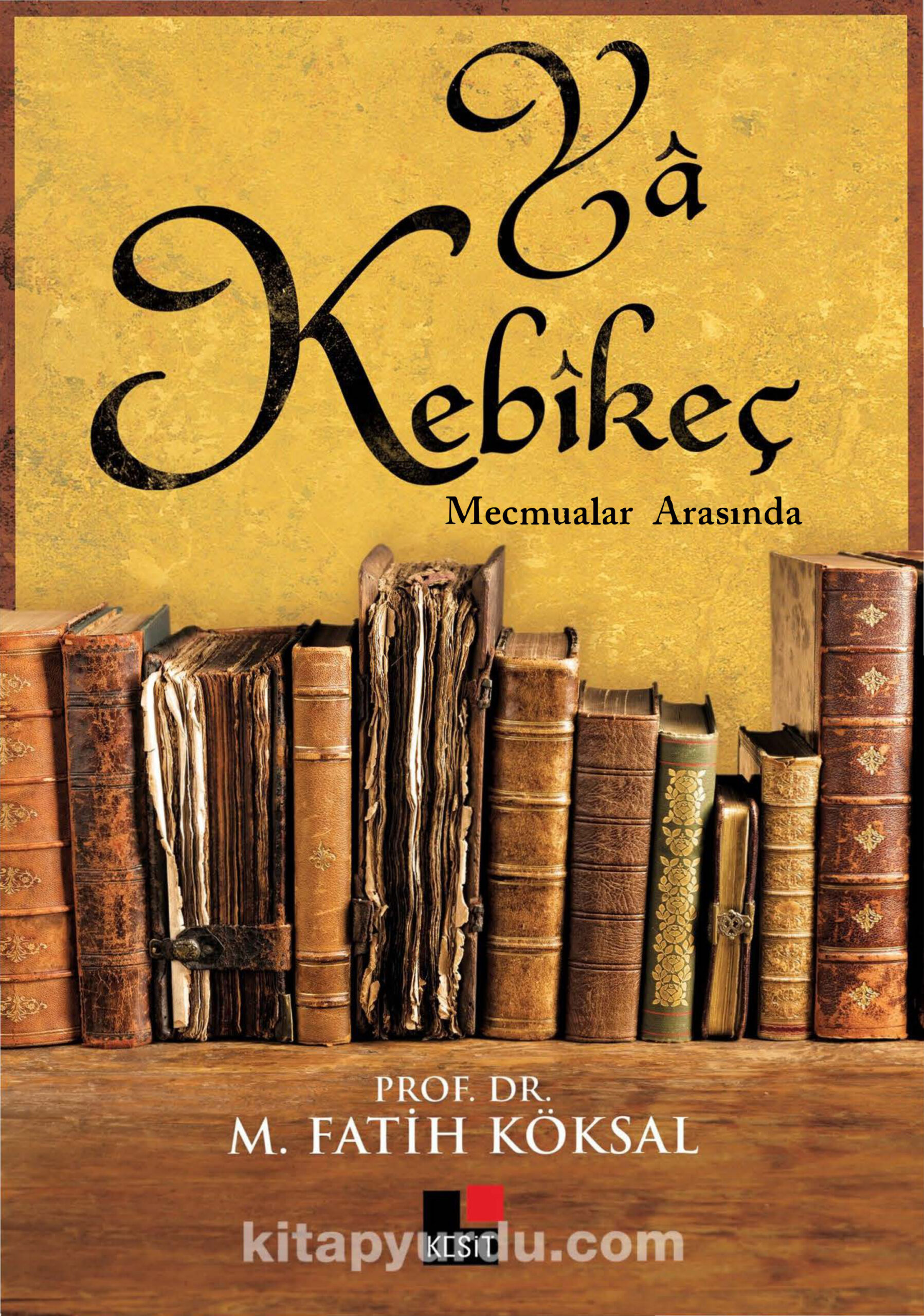 M. Fatih Köksal Ya Kebikeç Kesit Yayınları Kitap Kapağı