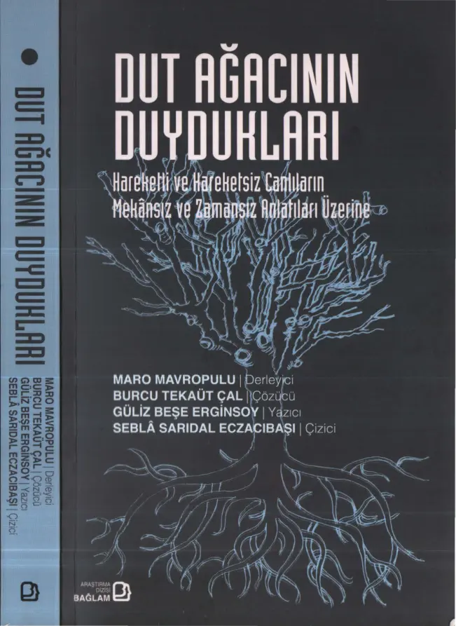 Dut Ağacının Duydukları PDF – Maro Mavropulu vd.