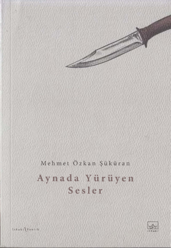 Aynada Yürüyen Sesler PDF – Mehmet Özkan Şüküran