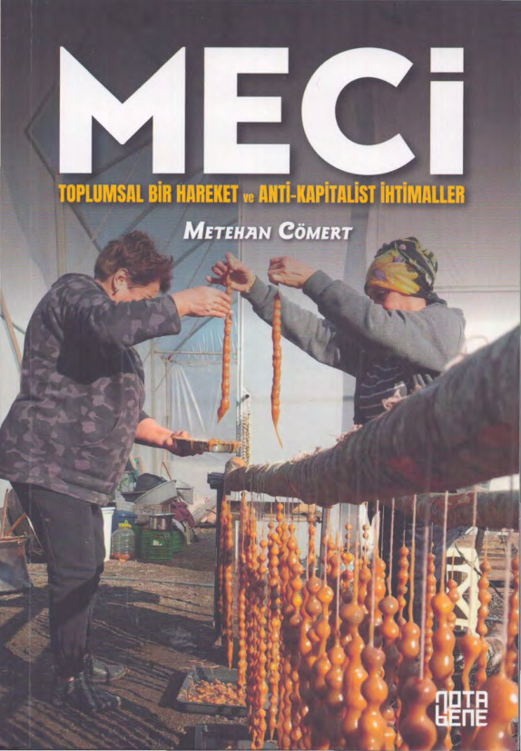 Meci: Toplumsal Bir Hareket ve Anti Kapitalist İhtimaller PDF – Metehan Cömert