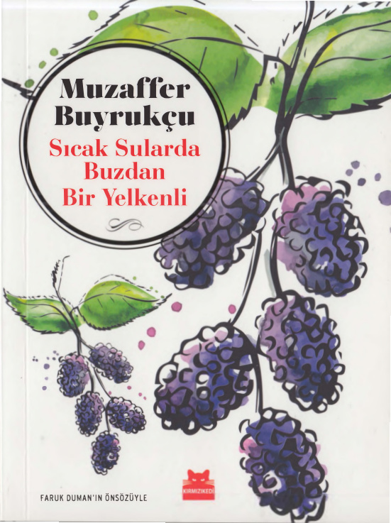 Sıcak Sularda Buzdan Bir Yelkenli PDF – Muzaffer Buyrukçu
