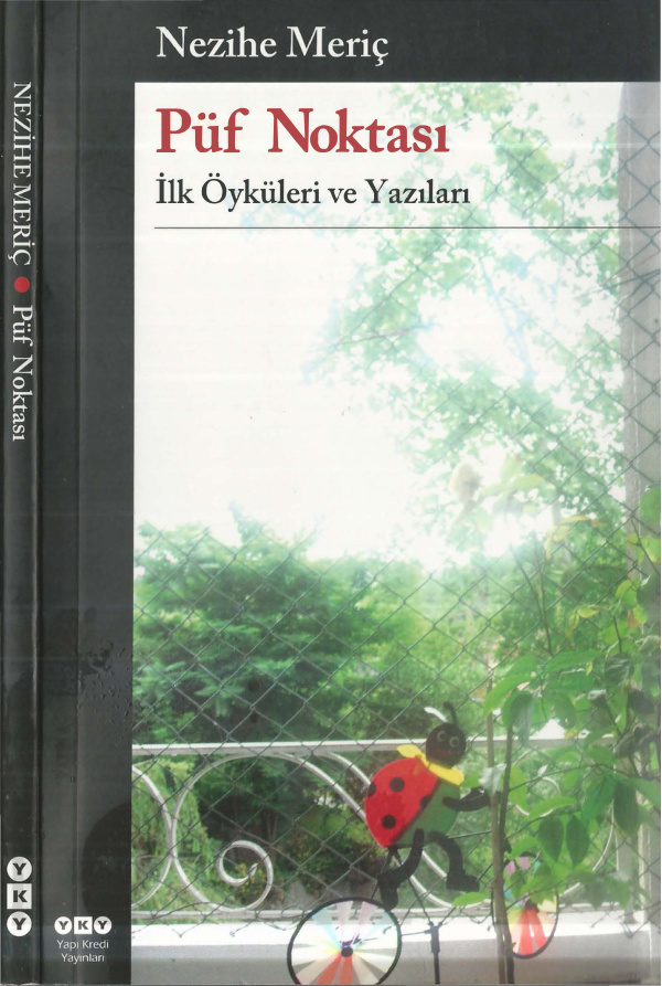 Püf Noktası PDF İndir – Nezihe Meriç